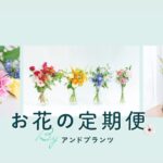 お花の定期便AND PLANTS（アンドプランツ）は本当におすすめ？口コミと評判から見る魅力