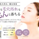 ミス・パリ/ダンディハウスの口コミ・評判から分かる30代40代がリピートする5つの理由