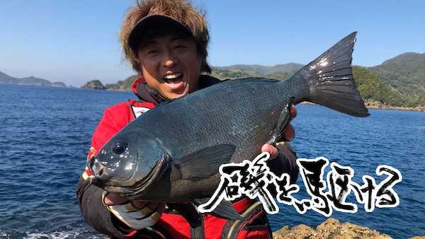 釣りビジョン倶楽部がアツい!料金プランと無料お試しの注意点