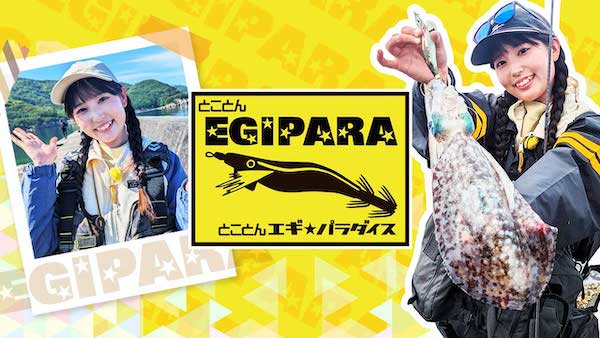 釣りビジョン倶楽部がアツい!料金プランと無料お試しの注意点