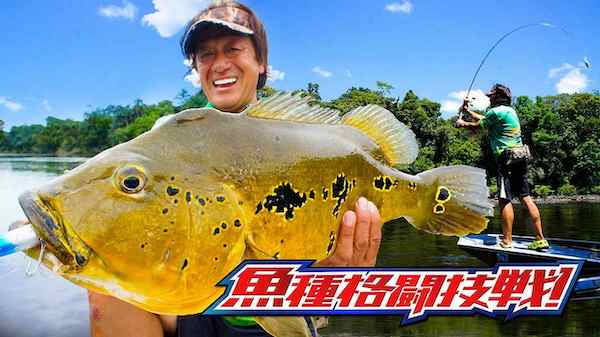 釣りビジョン倶楽部がアツい!料金プランと無料お試しの注意点