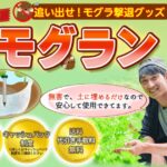 【モグラ被害対策】モグランの口コミ・評判から分かるメリット・デメリットを解説