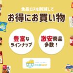 【裏ワザ】ロス活SHOPは主婦の味方？口コミ・評判を徹底調査！