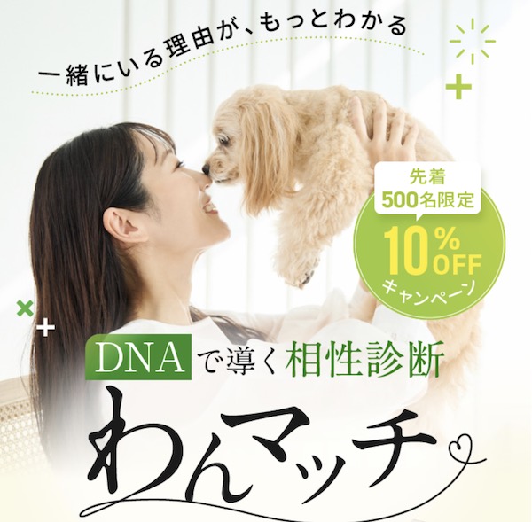 【愛犬との相性診断】わんマッチの評判・口コミから分かるメリットとデメリット
