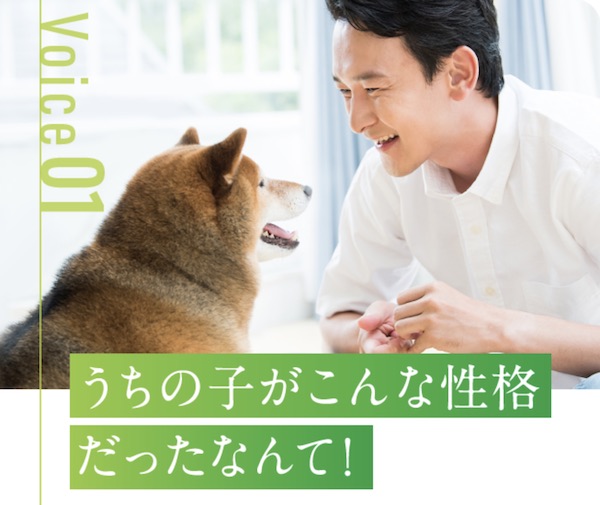 【愛犬との相性診断】わんマッチの評判・口コミから分かるメリットとデメリット