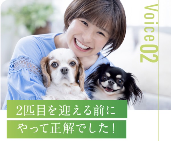 【愛犬との相性診断】わんマッチの評判・口コミから分かるメリットとデメリット