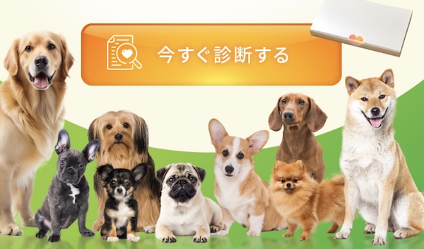 【愛犬との相性診断】わんマッチの評判・口コミから分かるメリットとデメリット