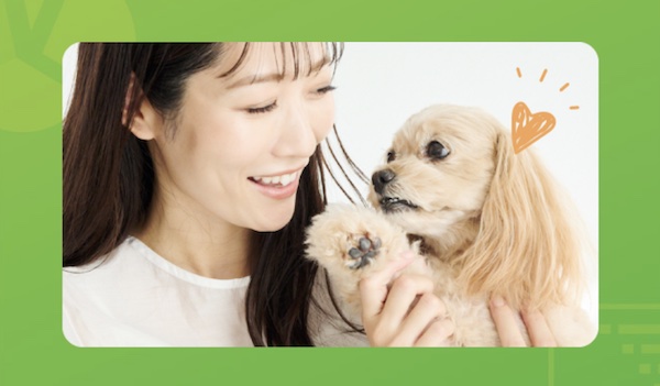 【愛犬との相性診断】わんマッチの評判・口コミから分かるメリットとデメリット