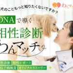 【愛犬との相性診断】わんマッチの評判・口コミから分かるメリットとデメリット
