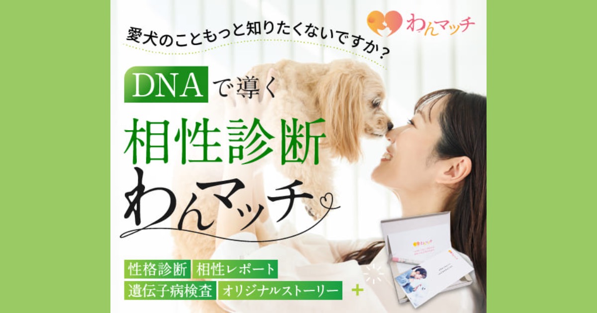 【愛犬との相性診断】わんマッチの評判・口コミから分かるメリットとデメリット