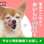 【無添加】WelMoのトッピングフード口コミ・評判から分かる愛犬が喜ぶ健康ごはん