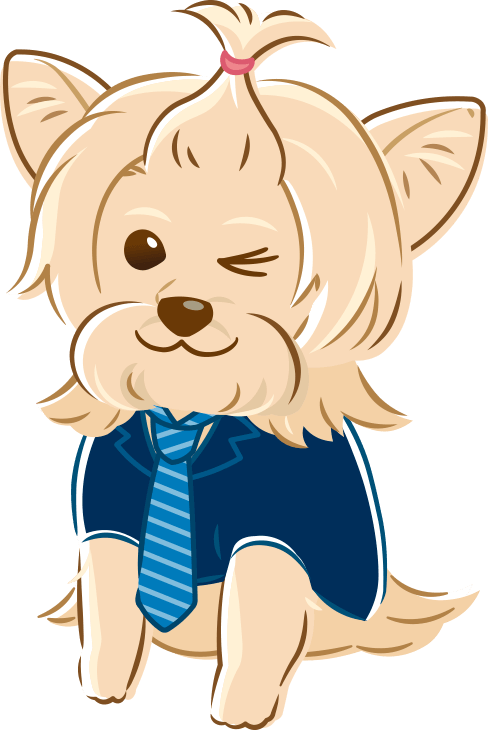 【口コミ・評判】公認会計士たぬ吉の資格塾で簿記2級を一発合格!