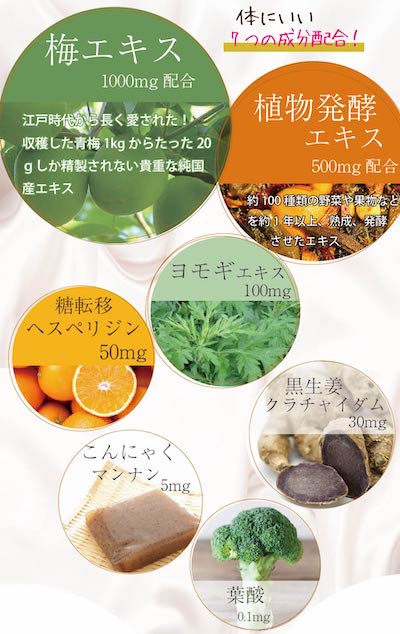 プラムビューティーで便秘改善!?口コミ・評判から分かる選ばれる理由