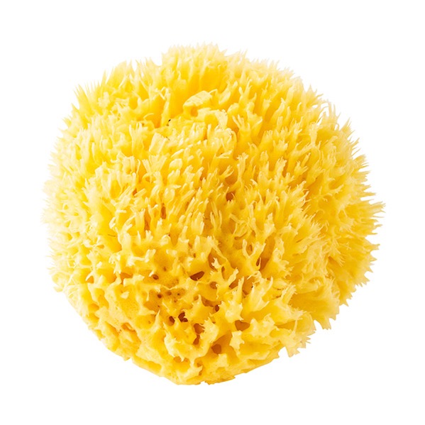 【口コミ・評判】ナチュラルシースポンジが敏感肌に選ばれる7つの理由