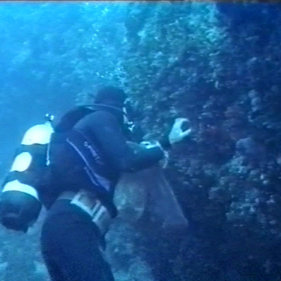 【口コミ・評判】ナチュラルシースポンジが敏感肌に選ばれる7つの理由