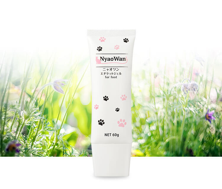 【口コミ・評判】足の臭いを根本から解決するニャオワン（Nyao Wan）エチケットジェルが選ばれる3つの理由