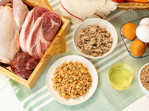 【保存料無添加】わんこ想いの口コミ・評判から分かる選ばれる5つの理由