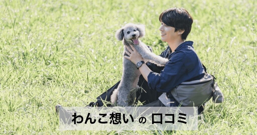 【保存料無添加】わんこ想いの口コミ・評判から分かる選ばれる5つの理由