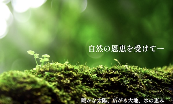 【口コミ・評判】植物100%プラセンタサプリ!穂のしずくが選ばれる5つの理由