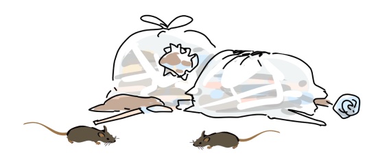 【口コミ・評判】ペスコンproの害獣駆除は本当に安心?料金・実績・保証を比較