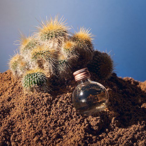 【口コミ・評判】エルチャビィって何?SNSで話題の小瓶テキーラの正体とは