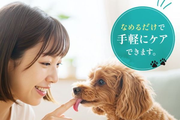 【口コミ・評判】犬の口臭ケア革命デンタブラックの魅力を徹底解説