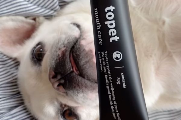 【口コミ・評判】犬の口臭ケア革命デンタブラックの魅力を徹底解説