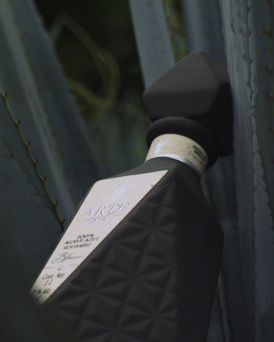 【口コミ・評判】アルテアズール(ARTE AZUL)の魅力を徹底解説|ボトルが美しいプレミアムテキーラ