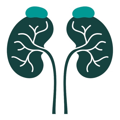 【口コミ・評判】Serotonix(セロトニクス)とは?オンライン面談の内容と向いている人を徹底解説