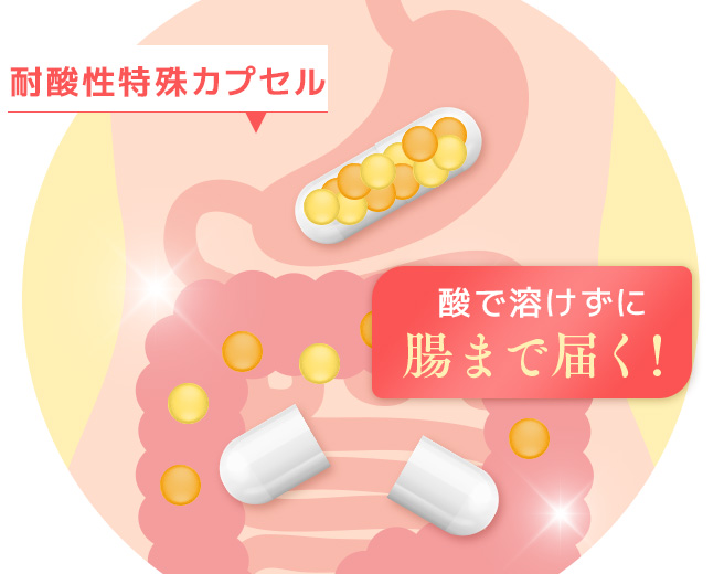 【口コミ・評判】高純度99.9%NMNを業界最安値で。FIRST SELECT(ファーストセレクト)が選ばれる3つの理由