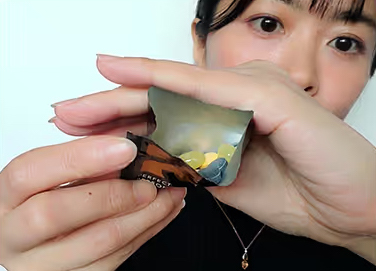 【口コミ・評判】P3（ピースリー）はこれ1つで栄養を補える？YouTuberヒカル監修NMN300mg配合サプリの実力