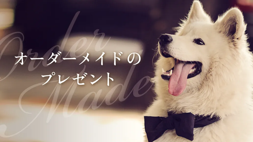 【口コミ・評判】愛犬への贈り物に迷ったら「ギフトパレット」｜ワンちゃん専用カタログギフト完全ガイド