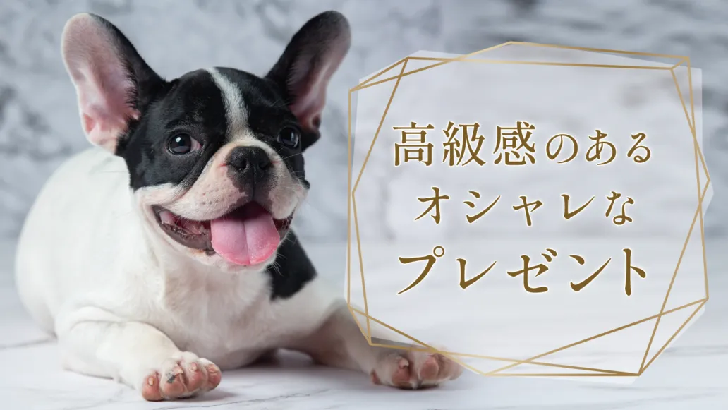 【口コミ・評判】愛犬への贈り物に迷ったら「ギフトパレット」｜ワンちゃん専用カタログギフト完全ガイド