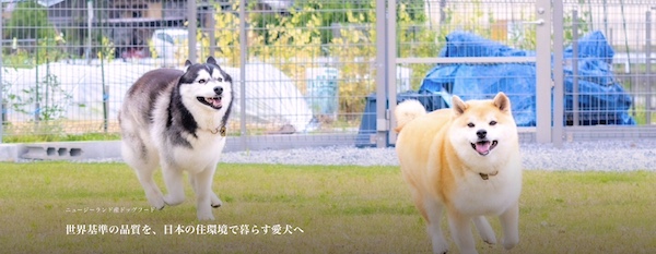 【初回送料無料】もちごめ兄弟ちゃんねる発「One8Dog（ワンエイトドッグ）」は本当にいい？口コミと特徴を徹底解説