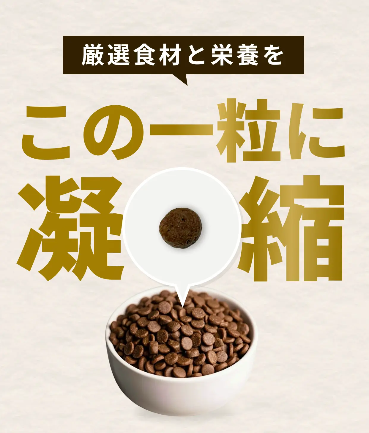 【初回送料無料】もちごめ兄弟ちゃんねる発「One8Dog（ワンエイトドッグ）」は本当にいい？口コミと特徴を徹底解説