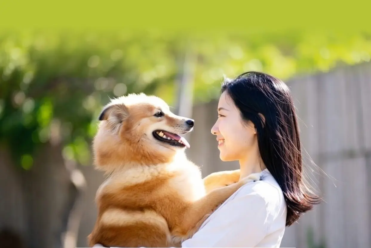 【初回送料無料】もちごめ兄弟ちゃんねる発「One8Dog（ワンエイトドッグ）」は本当にいい？口コミと特徴を徹底解説