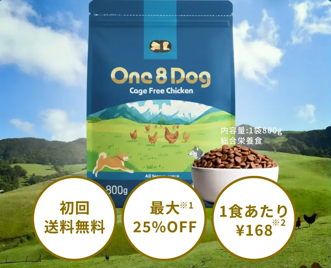 【初回送料無料】もちごめ兄弟ちゃんねる発「One8Dog（ワンエイトドッグ）」は本当にいい？口コミと特徴を徹底解説