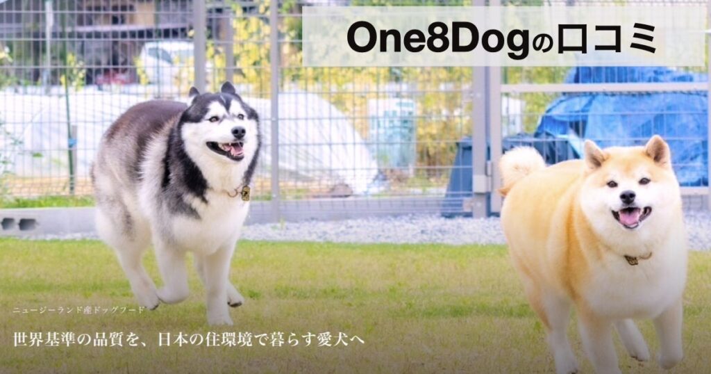 【初回送料無料】もちごめ兄弟ちゃんねる発「One8Dog（ワンエイトドッグ）」は本当にいい？口コミと特徴を徹底解説