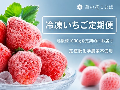 苺の花ことばの口コミ・評判は?化学農薬不使用で育てた越後姫ギフトの魅力を紹介