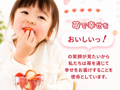 苺の花ことばの口コミ・評判は?化学農薬不使用で育てた越後姫ギフトの魅力を紹介
